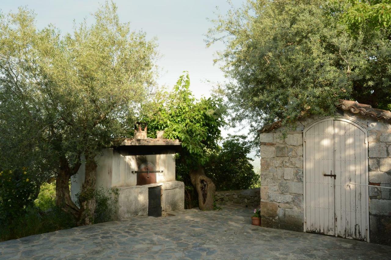 Mistra Estates Villa The Vine Pikouliánika Exterior photo